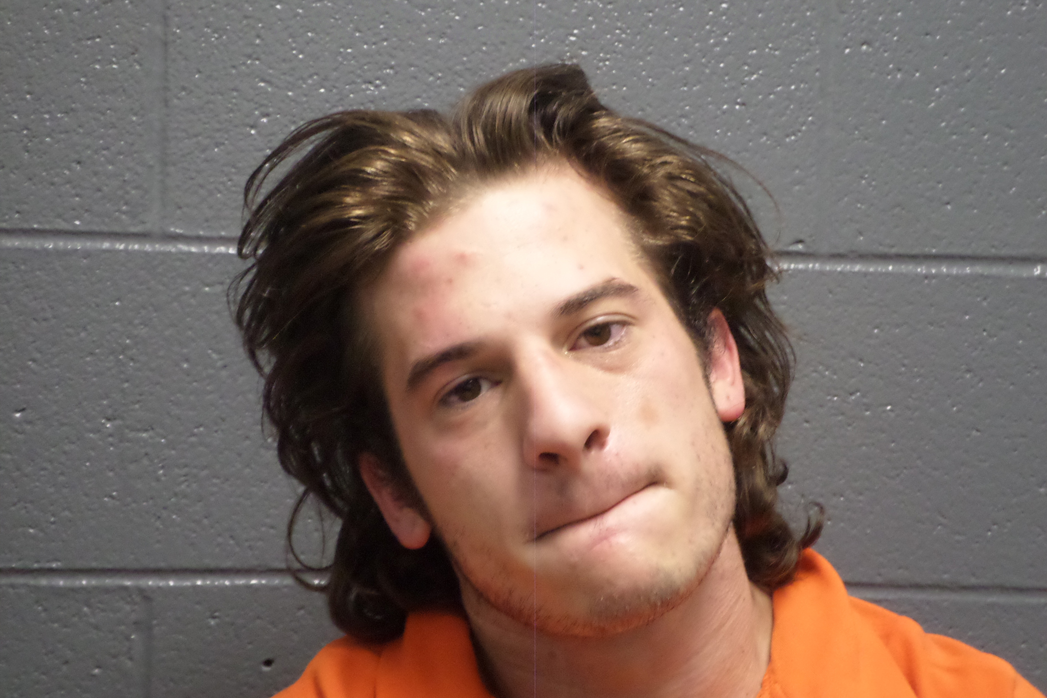 Danville police locate two stolen cars; one man arrested The AdvocateMessenger The Advocate