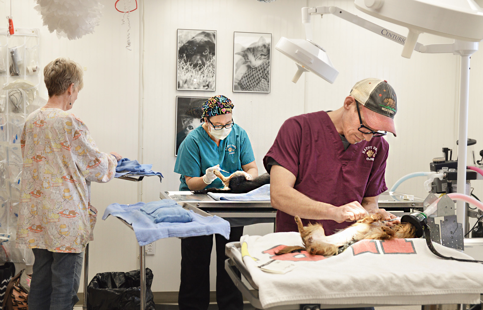 One Day Happy Paws Spay/Neuter Clinic The AdvocateMessenger The