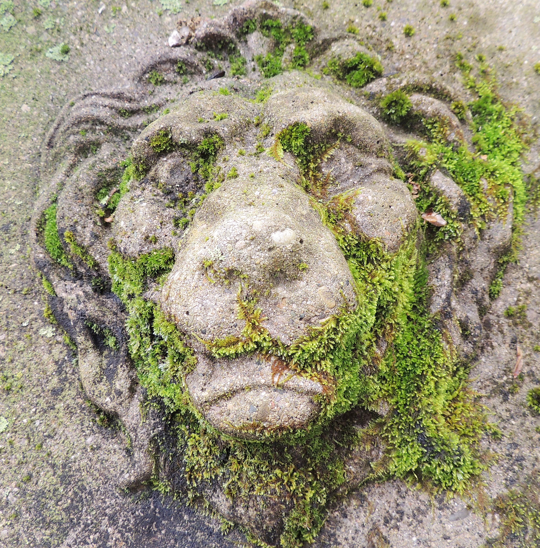 Moss adds character to garden sculptures The AdvocateMessenger The