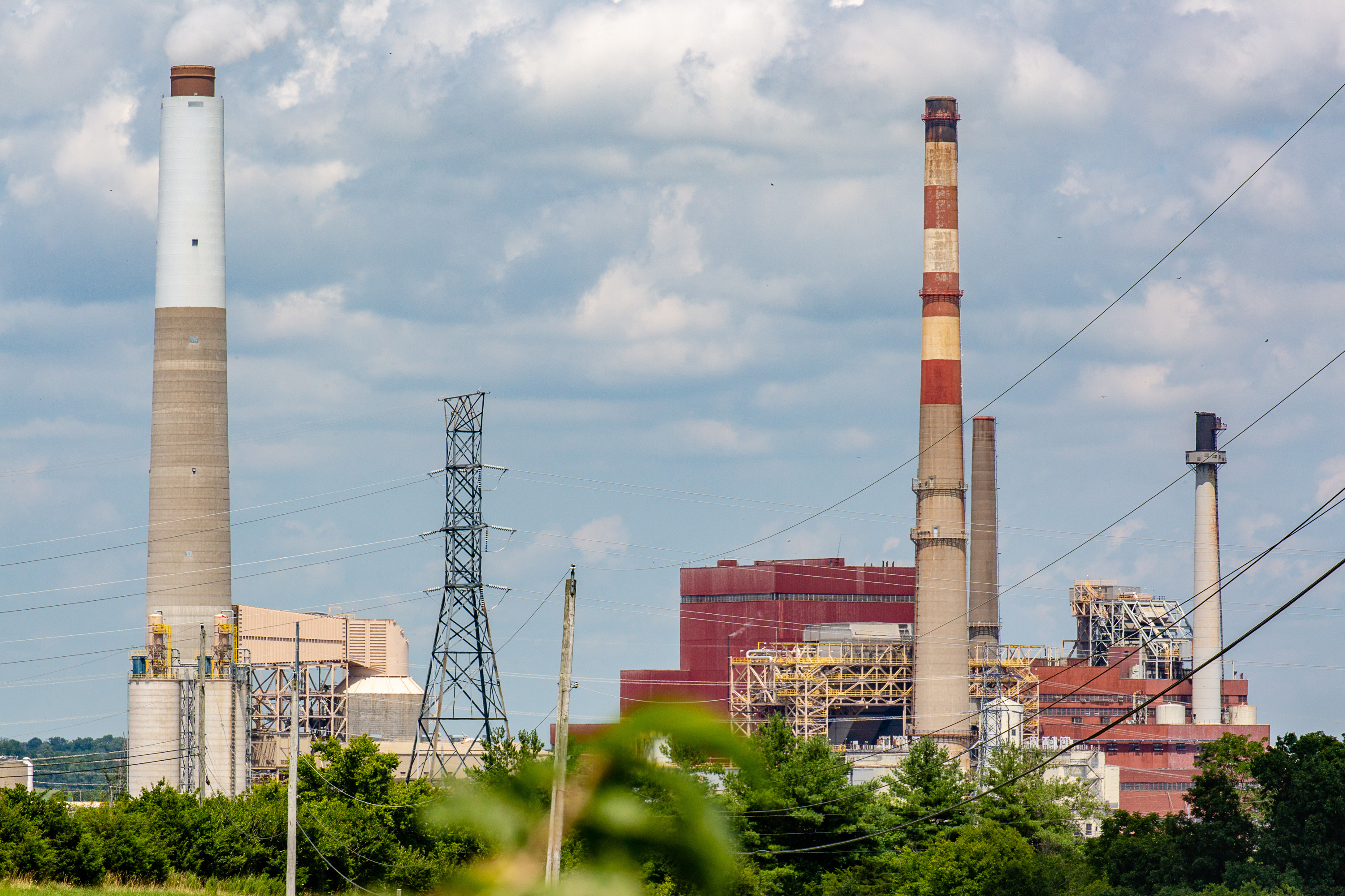 Cabinet Agrees To Public Hearing Over Lake Pollution The Advocate Messenger The Advocate Messenger