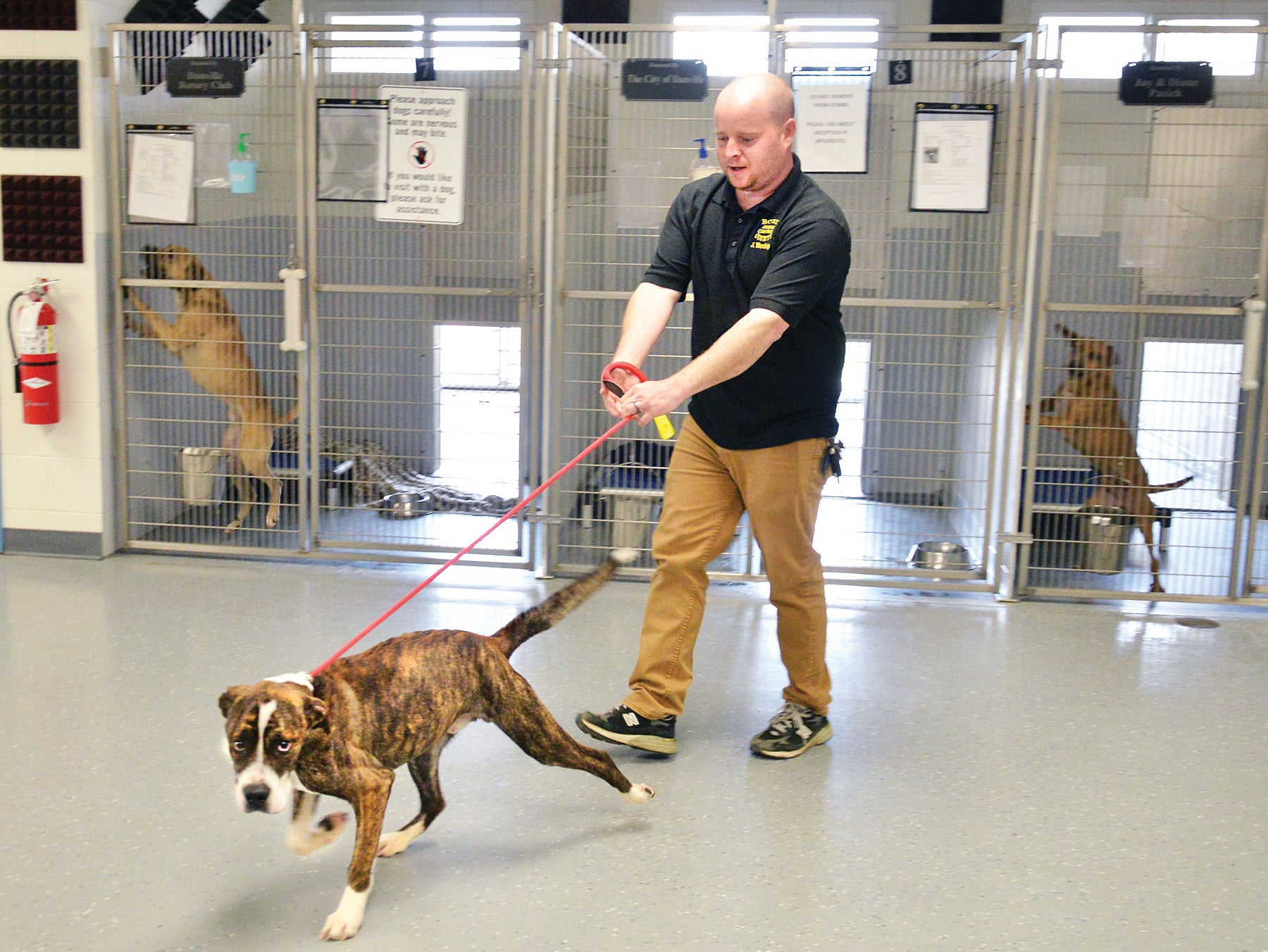 Animal control officer says the good in people help balance out tough parts  of job - The Advocate-Messenger | The Advocate-Messenger